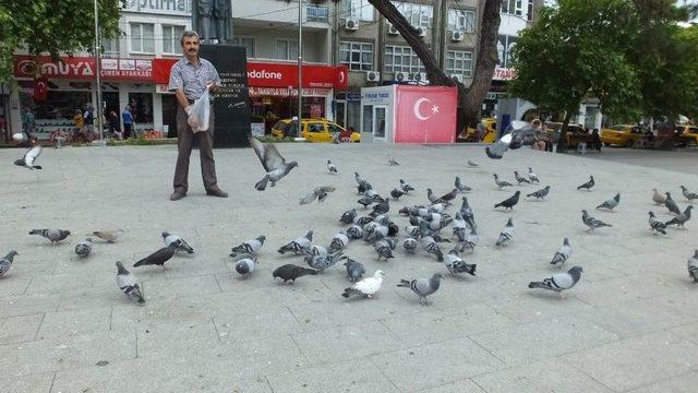 Ramazanda Güvercinlere Yem Verenlerin Sayısı Arttı