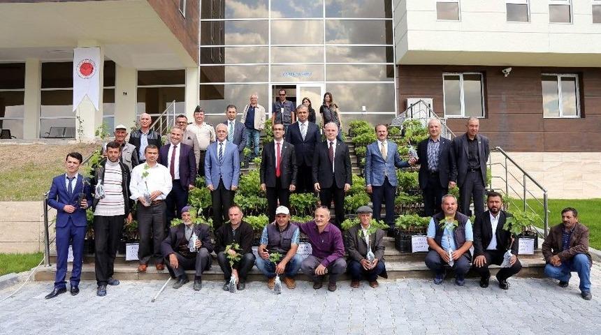 Yozgat&rsquo;ta 19 &Ccedil;ift&ccedil;iye 5 Bin Adet Aşılı Asma Fidanı Dağıtıldı