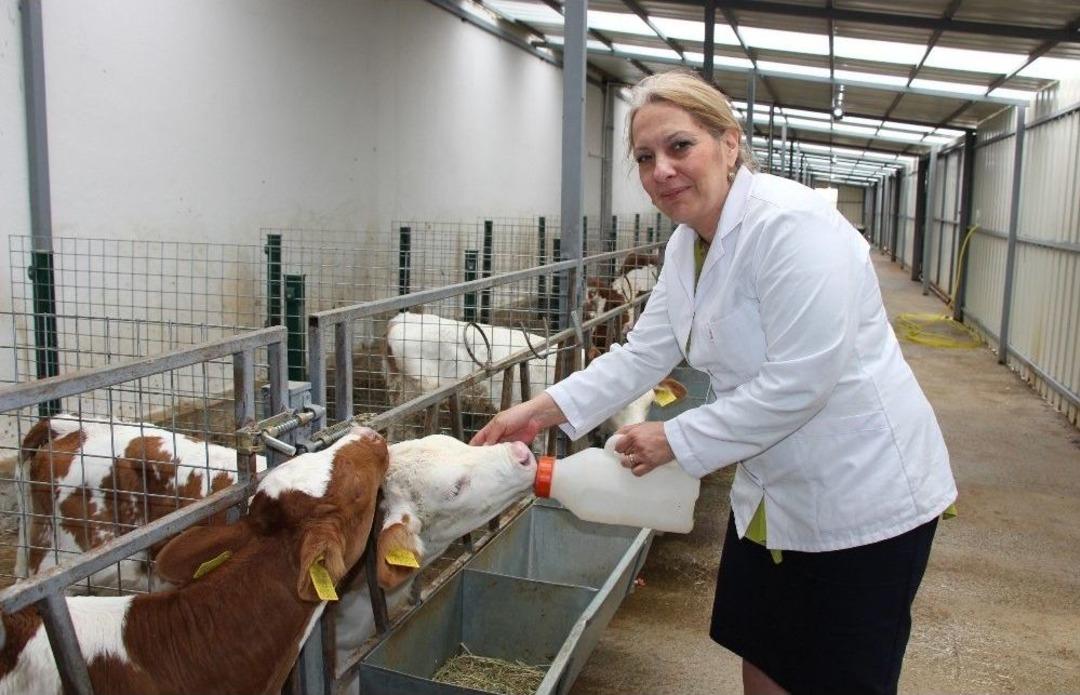 Heyecanlandıran Proje T&uuml;rkiye&rsquo;nin 600 Milyon Euroluk Zararını &Ouml;nleyecek