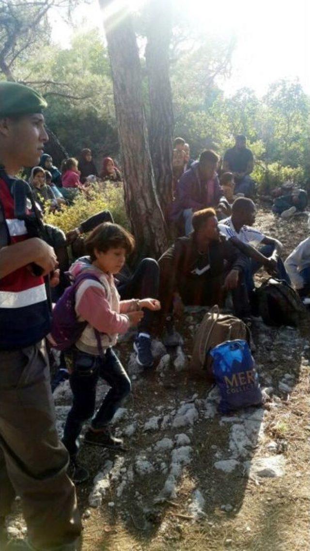 İzmir’de 86 Göçmen Yakalandı