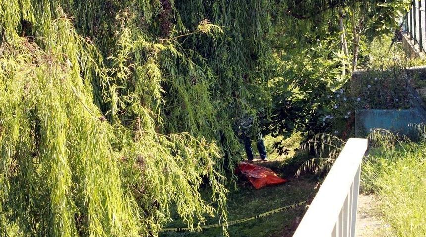Yalova&rsquo;da Erkek Cesedi Bulundu