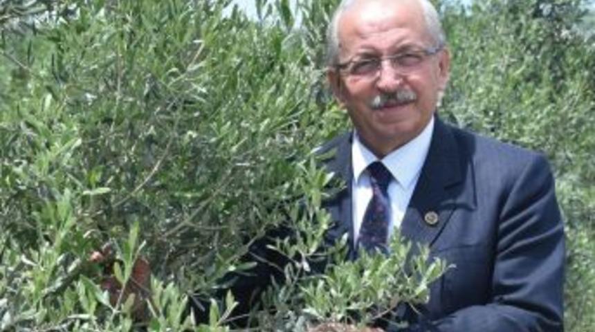 Başkan Albayrak: &ldquo;bayramlarda Bizi Birbirimize Bağlayan Manevi Duyguları En G&uuml;zel Şekilde Yaşarız&rdquo;