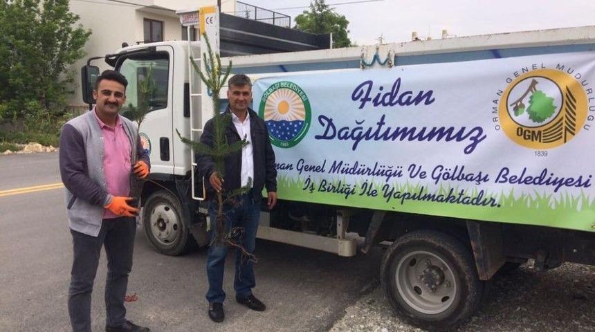 Bayramda Mezarlıklar Yeşillenecek