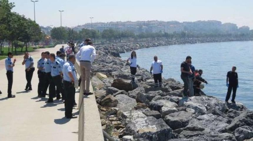 Pendik'te Kayalıklar Arasında Ceset Bulundu