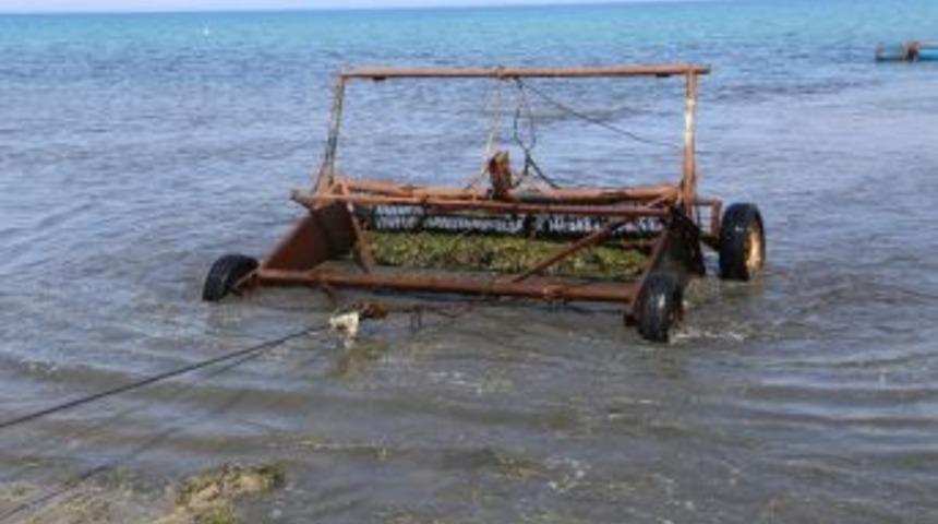 Burhaniye&rsquo;de Belediye Deniz Temizliği Yaptı