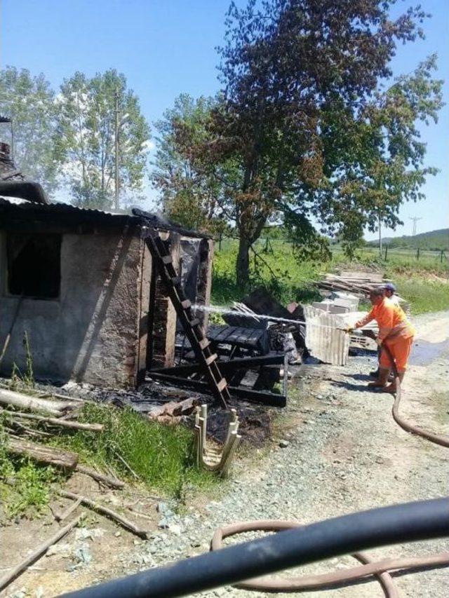 Kastamonu’da At Çiftliğinde Yangın Çıktı