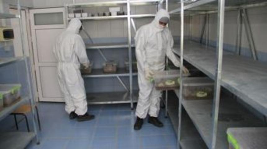 Ormanların Biyolojik Bek&ccedil;ileri M&uuml;cadeleye Başladı