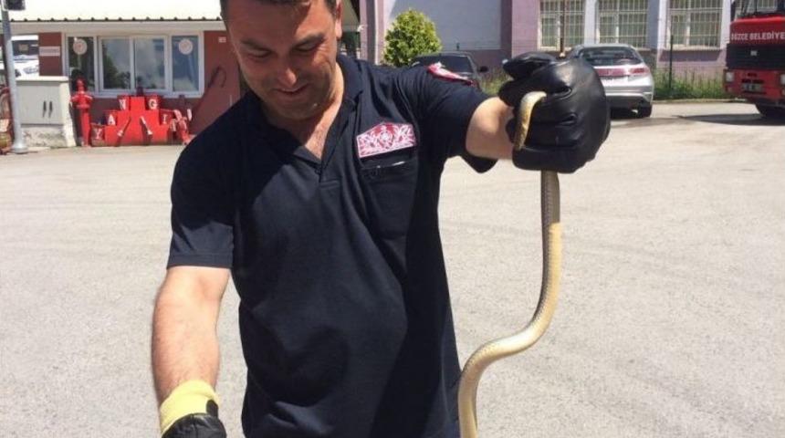 Otomobilin Motor Kısmına Giren Yılanı İtfaiye Ekipleri &Ccedil;ıkardı