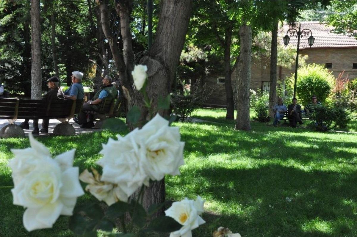 Serin Ge&ccedil;en Havaların Ardından Sıcaklar Birden Y&uuml;kseldi