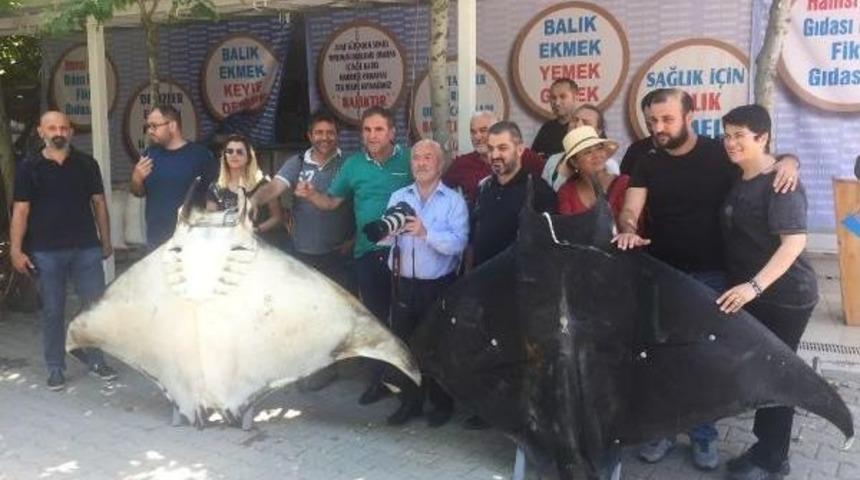 O Vatozlar Mumyalandı