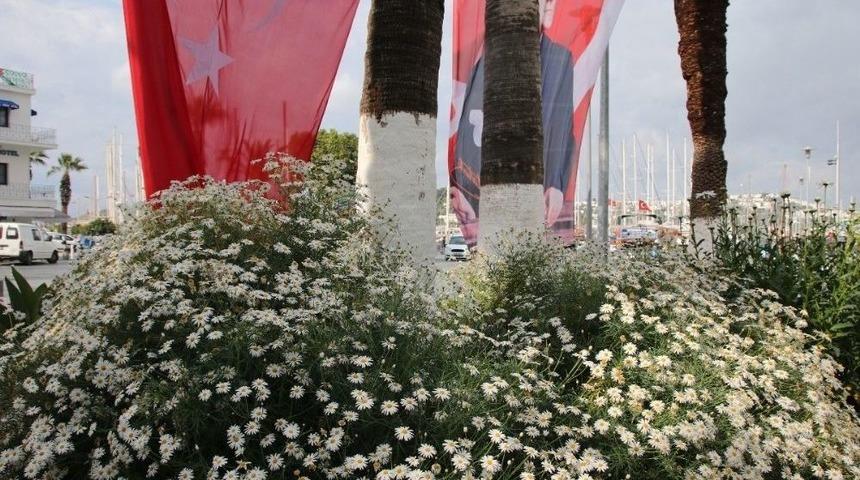Bodrum&rsquo;da Bayram Hazırlıkları