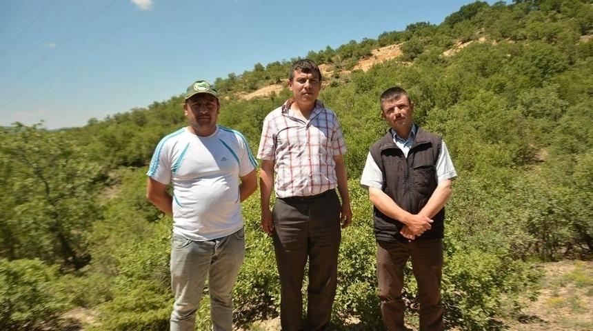 Satılık Köy Kaberleri Vatandaşı Rahatsız Etti