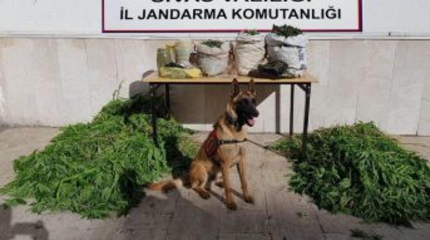 Sivas’ta Uyuşturucu Operasyonu