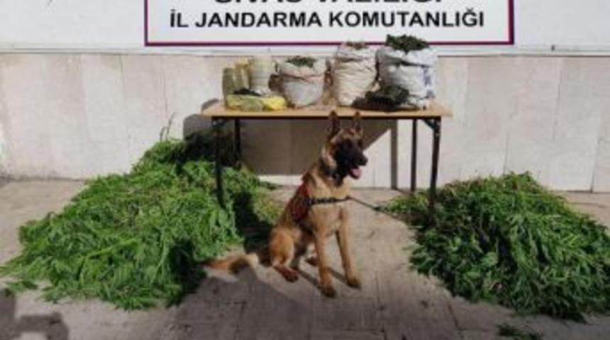 Sivas'ta Uyuşturucu Operasyonu