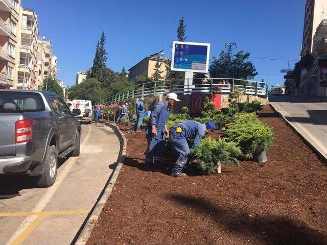 Kilis Park Bahçeler Müdürlüğü Çalışmalarına Devam Ediyor