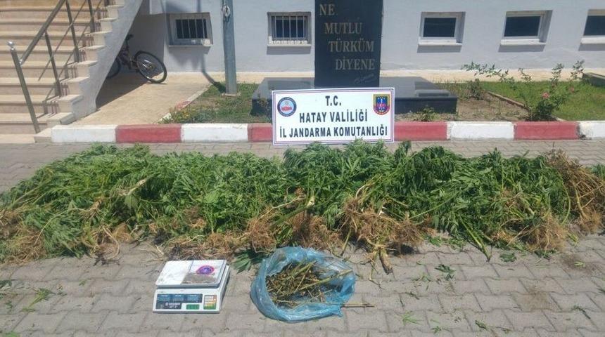 D&ouml;rtyol&rsquo;da Hint Keneviri Operasyonu