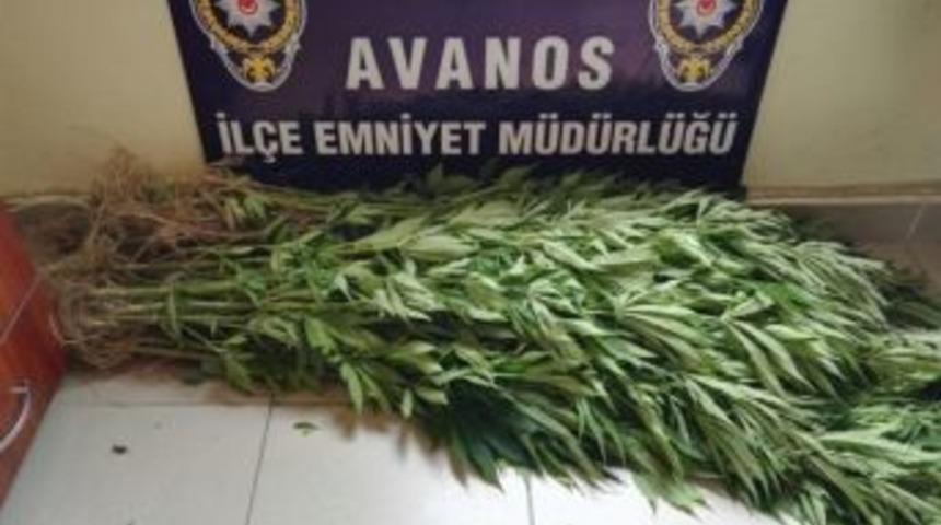 Avanos&rsquo;ta 71 K&ouml;k Hint Keneviri Ele Ge&ccedil;irildi