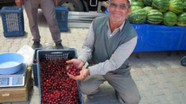 Hisarcık’ta Yağmur Ve Kırağı Kiraz Üreticisini Vurdu