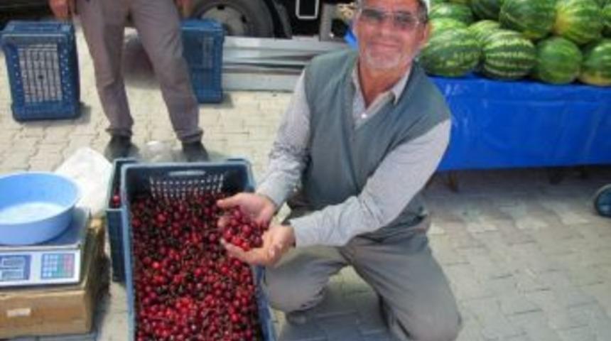 Hisarcık’ta Yağmur Ve Kırağı Kiraz Üreticisini Vurdu