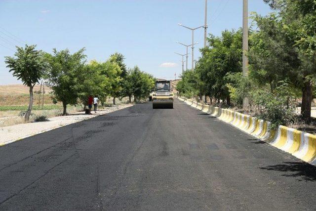 Kayyum Atanan Belediye Vatandaşın Gönlüne Girdi