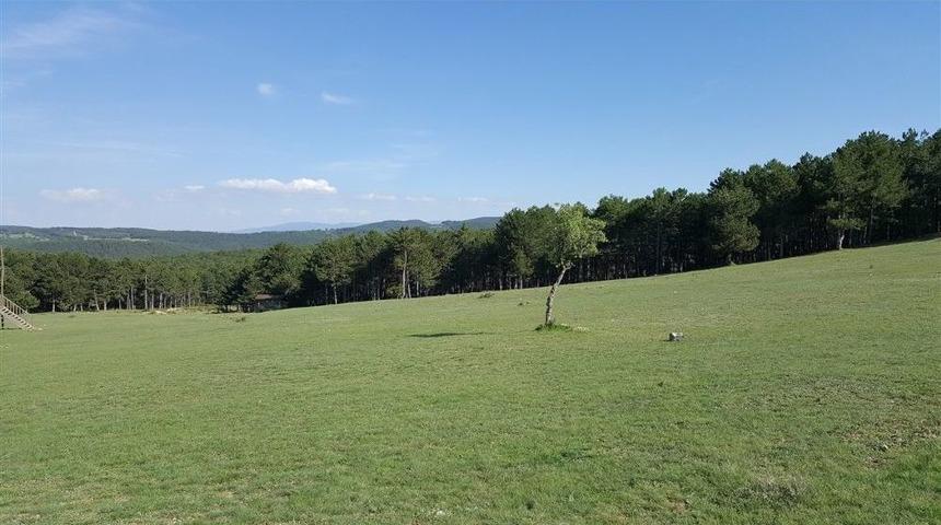 Uşak &ldquo;bulgazdağı Y&ouml;r&uuml;kleri Şenliği&rdquo;ne Rekor Katılım Bekleniyor