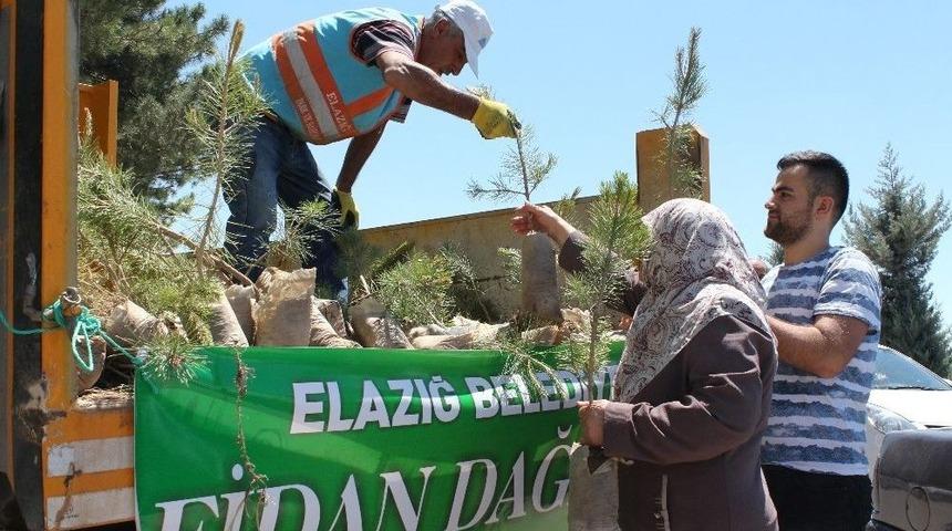 Elazığ&rsquo;da Mezarlıklarda 10 Bin Fidan Dağıtıldı