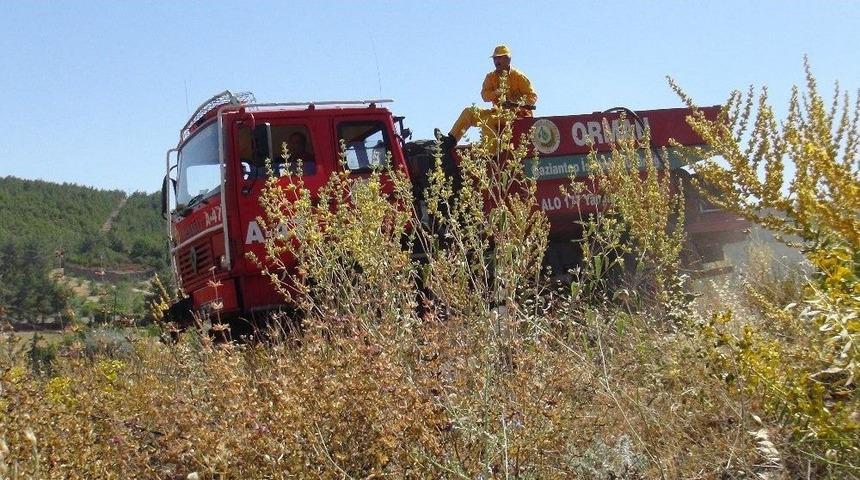Ormana Yaklaşan Anız Yangını Korkuttu