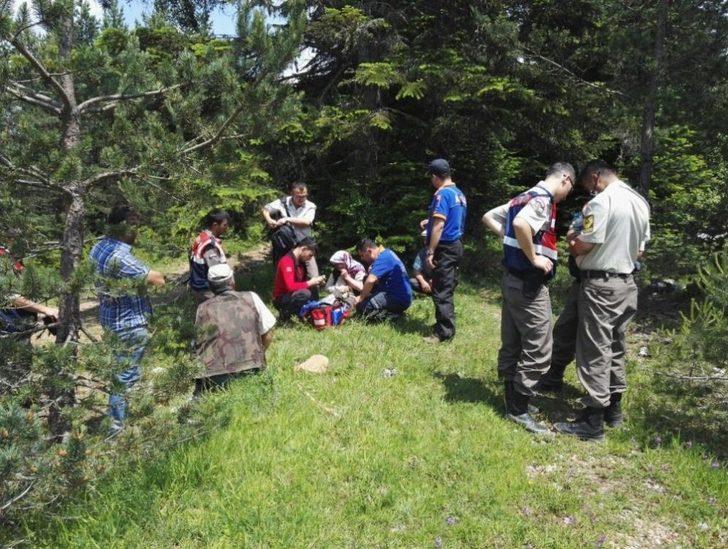 Kaybolan Zihinsel Engelli Kadın Ormanlık Alanda Bulundu G1