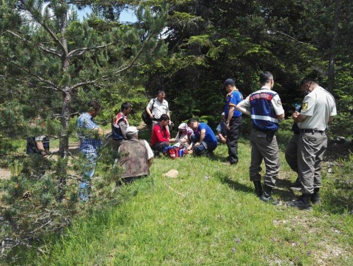 Kaybolan Zihinsel Engelli Kadın Ormanlık Alanda Bulundu G3