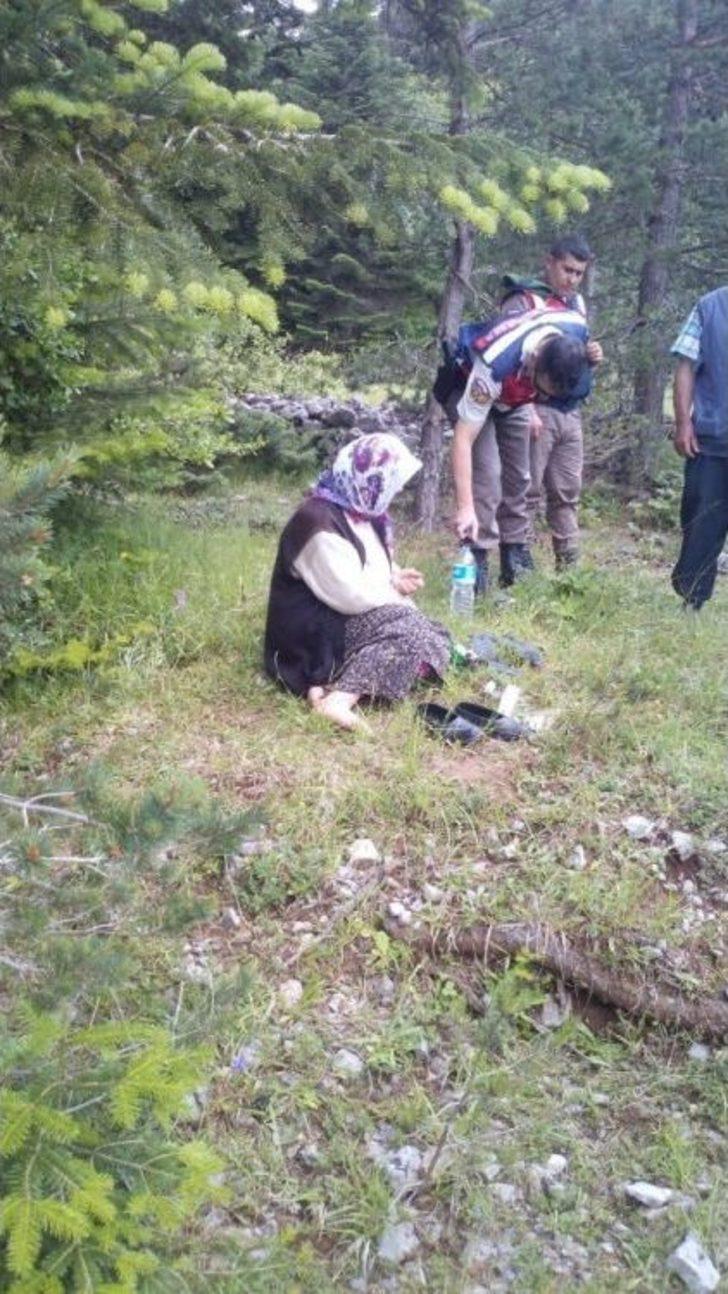 Kaybolan Zihinsel Engelli Kadın Ormanlık Alanda Bulundu G4