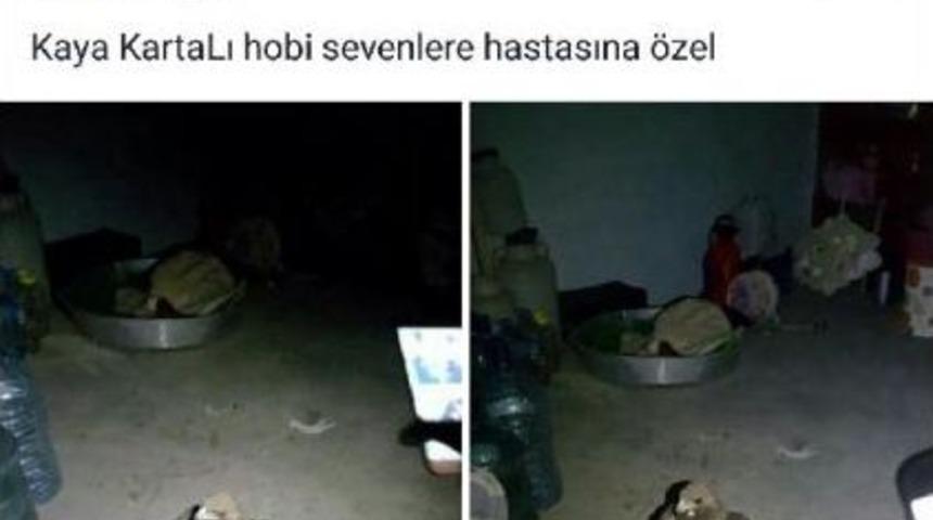 Bin Liraya Satmaya Kalktığı Kartal I&ccedil;in 9 Bin Lira Ceza Kesildi