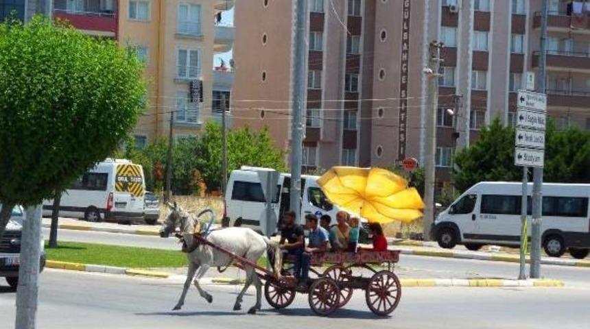 Ege'de Kentler Boşaldı, Sahiller Hareketli