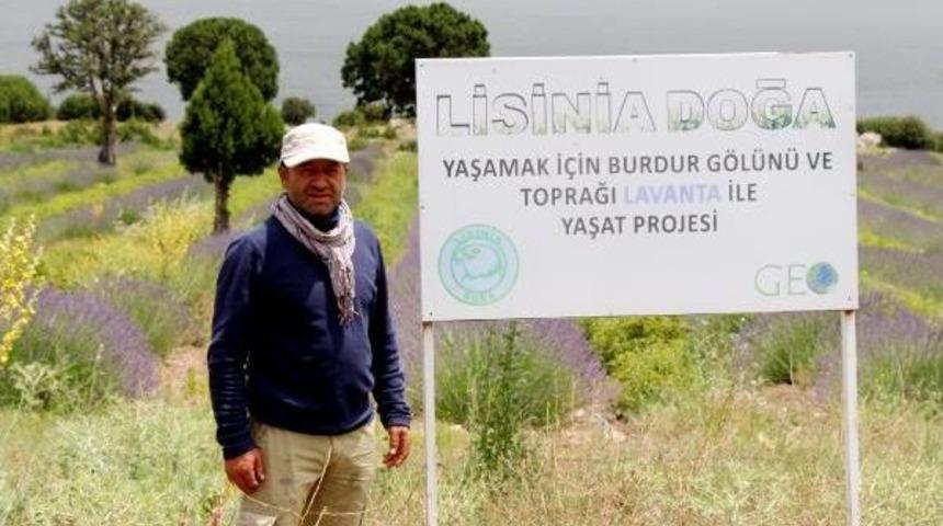 Göl Lavantalarının Görsel Şöleni