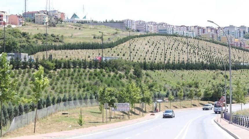 Kocaeli&rsquo;nin D&ouml;rt Bir Yanı Ağa&ccedil;landı