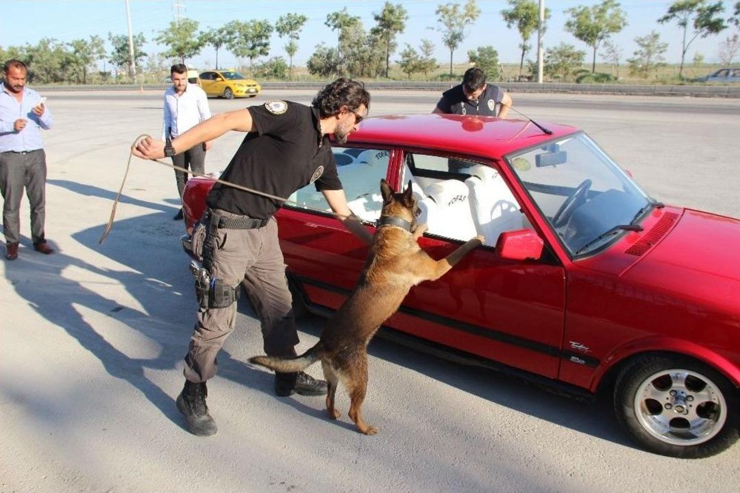 Narkotik K&ouml;peği &rsquo;oscar&rsquo; Bayram Mesaisinde