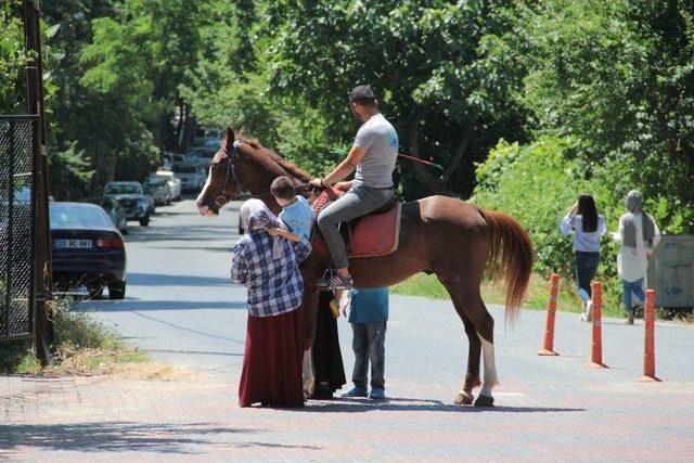 İstanbullular Tabiat Parklarına Akın Etti