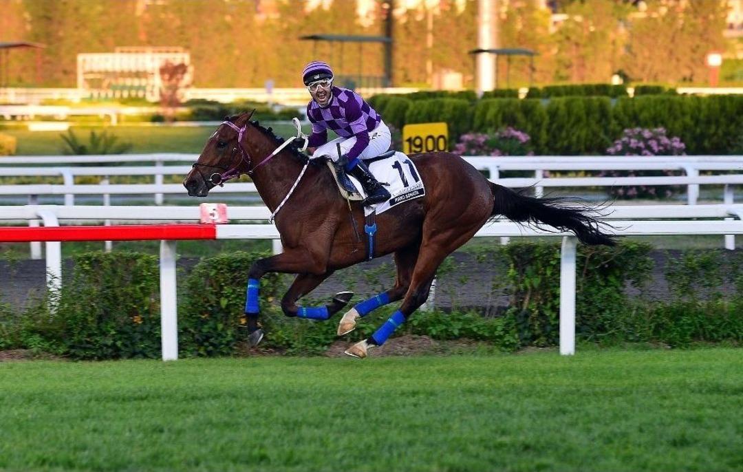 91. Gazi Koşusu&rsquo;nu Piano Sonata Kazandı