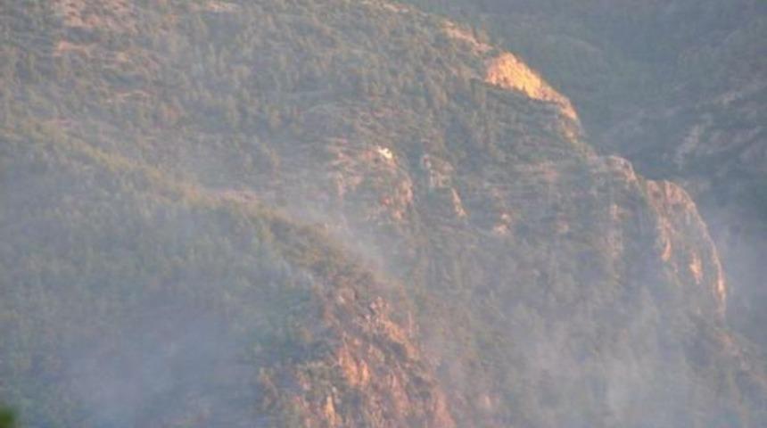 Denizli'de Orman Yangını (2)