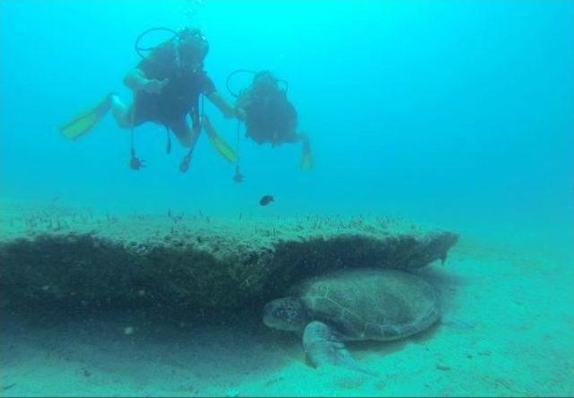 Sualtı Tutkunlarının Gözdesi Kekova