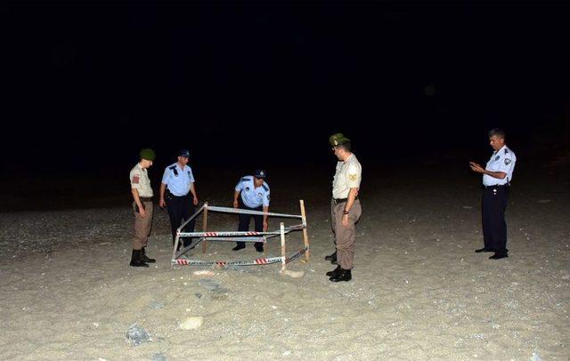 Alanya’da Caretta Caretta Yuvası Koruma Altına Alındı