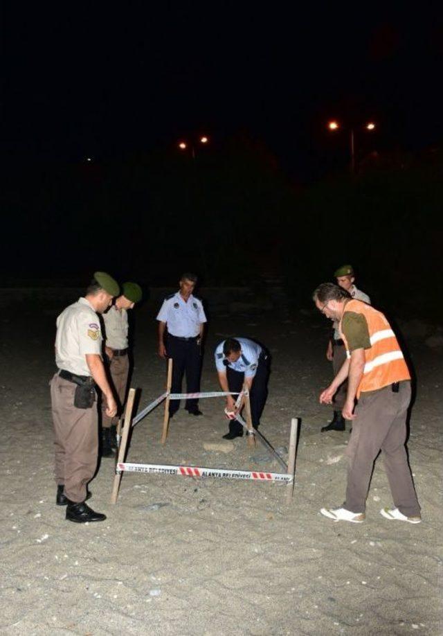 Alanya’da Caretta Caretta Yuvası Koruma Altına Alındı