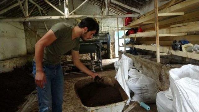 Gübre Üretmek Isteyenler Için ‘Solucan Oteli’ Açtı