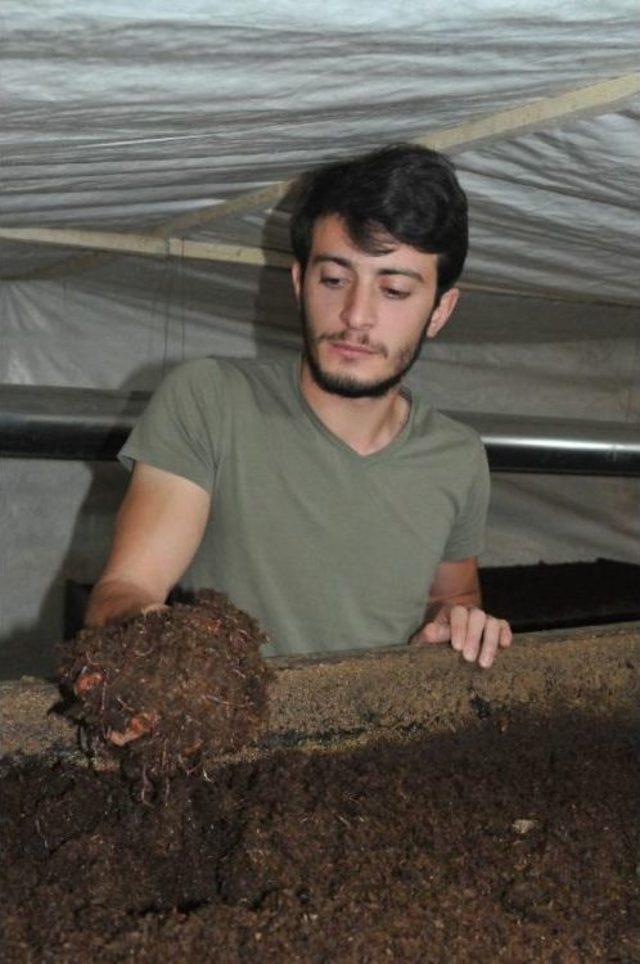 Gübre Üretmek Isteyenler Için ‘Solucan Oteli’ Açtı