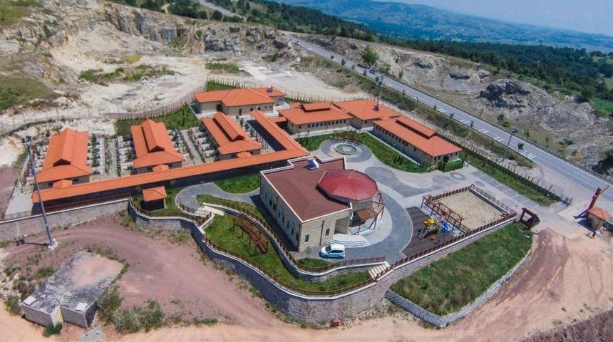 Sokak Hayvanları Yalnız Kalmıyor