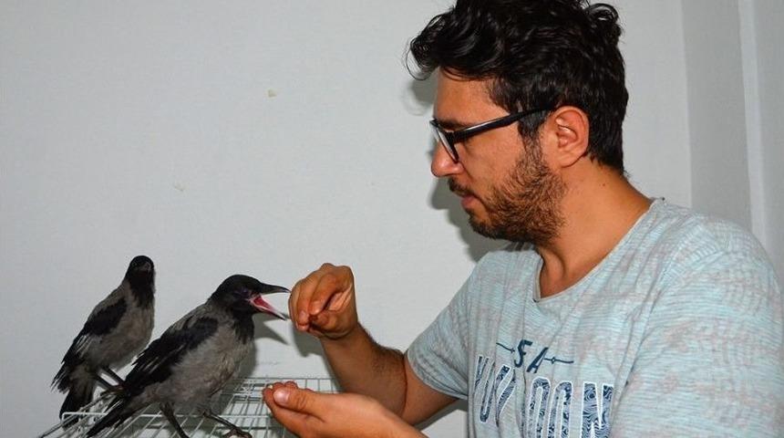 Bah&ccedil;esinde Bulduğu Kargaları Elleriyle Besliyor