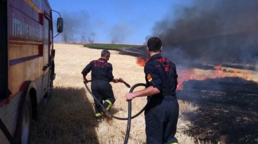 Anız Yangınında Ağaçlar Ve Elektrik Direkleri Yandı