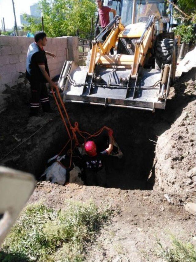 Konya’da Çukura Düşen İneği İtfaiye Kurtardı