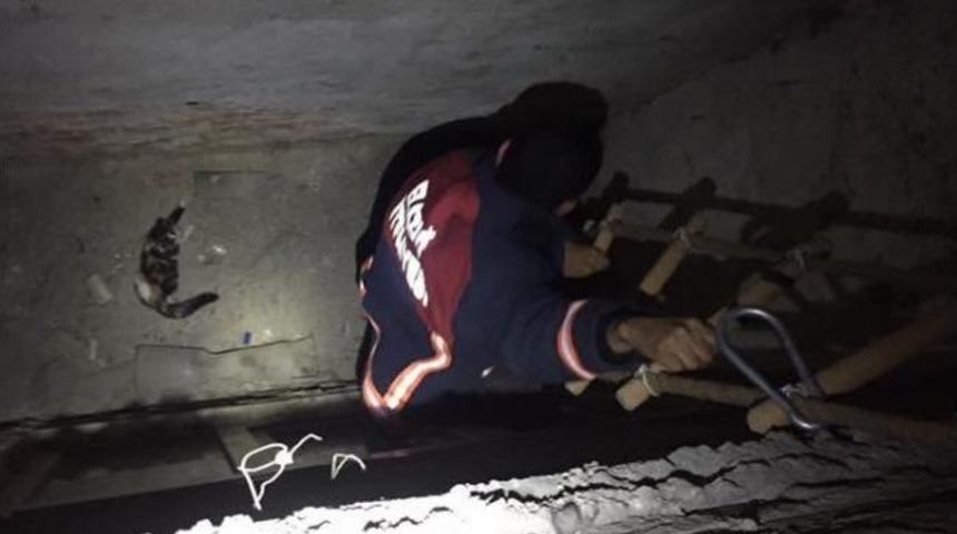 Havalandırma Boşluğuna D&uuml;şen Kediyi İtfaiye Kurtardı