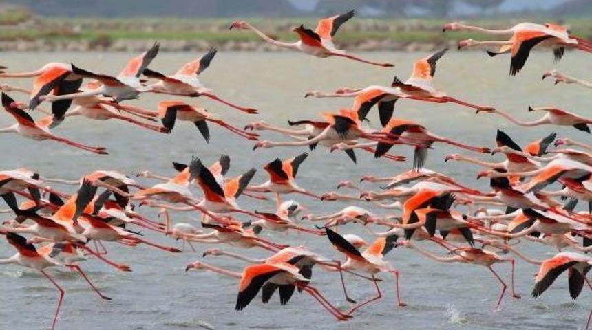 Bakanlıktan Kuş Cenneti A&ccedil;ıklaması