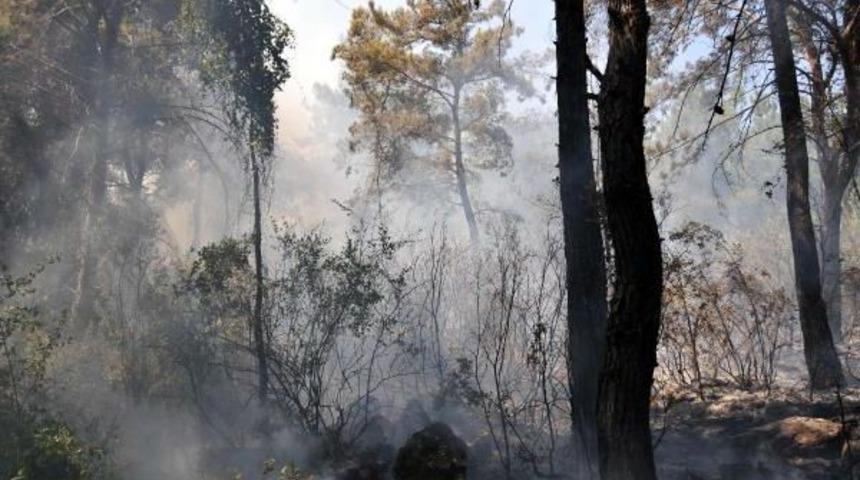 Antalya'da Orman Yangını